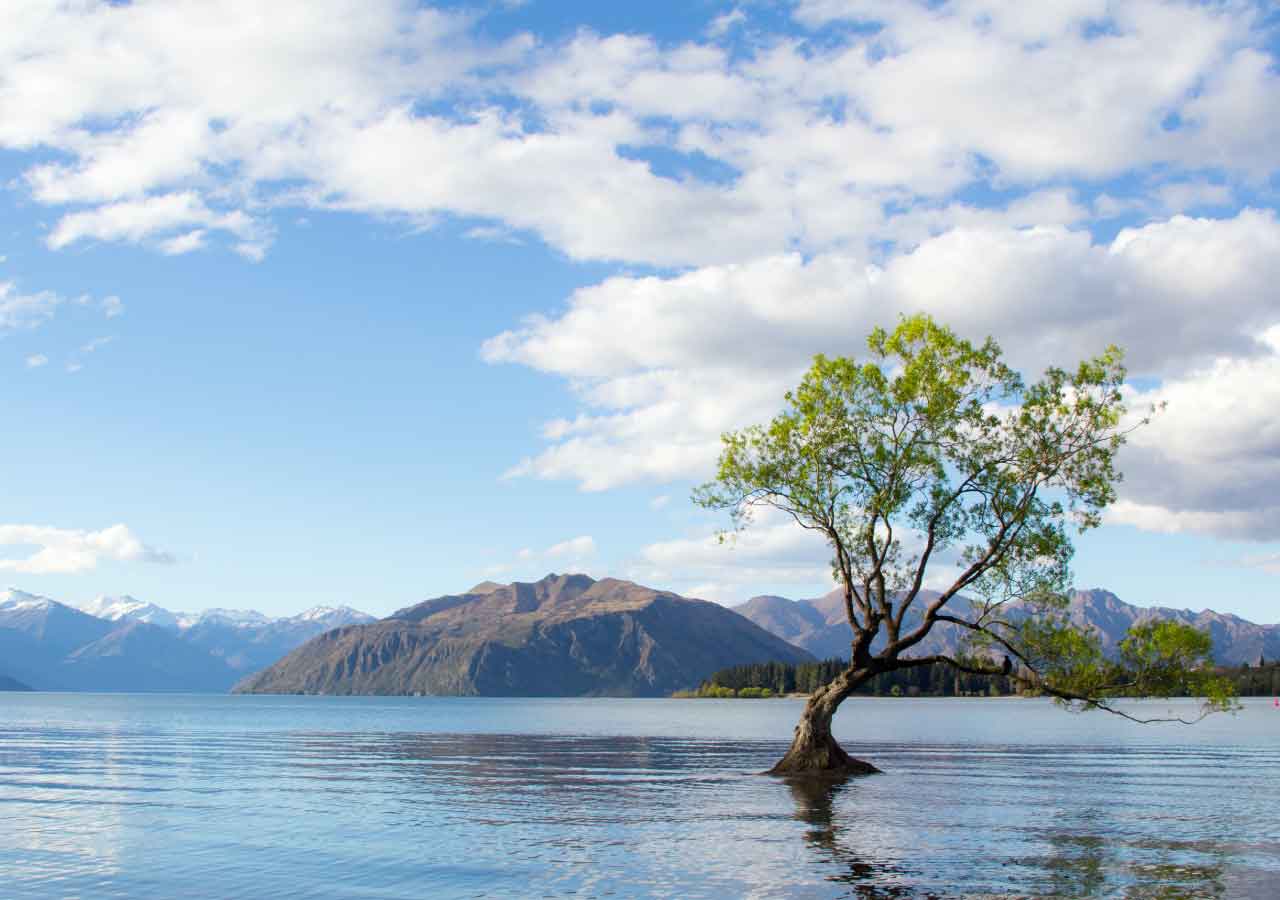 Ultimate Guide: Foreigners Buying Property in New Zealand
