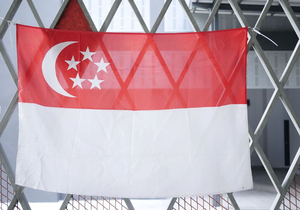 Singaporean Citizen Buying Property in New Zealand